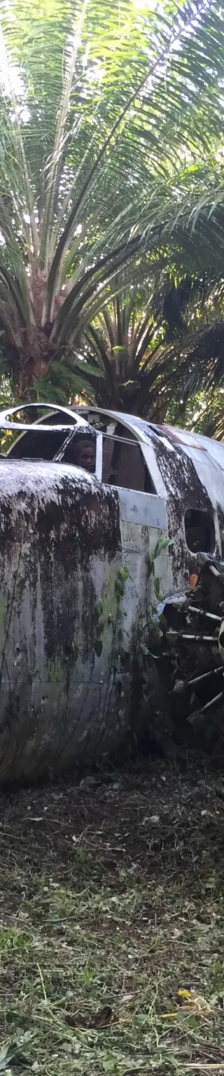 Wandere durch die Geschichte der Neuzeit auf dem Kokoda Track